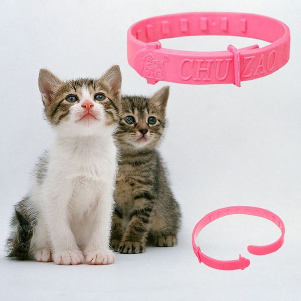 2x Halsband gegen Flöhe (Katze, Hunde)